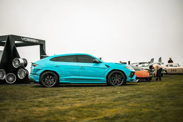 카지노 럭키 31 안드로이드/iOS 앱