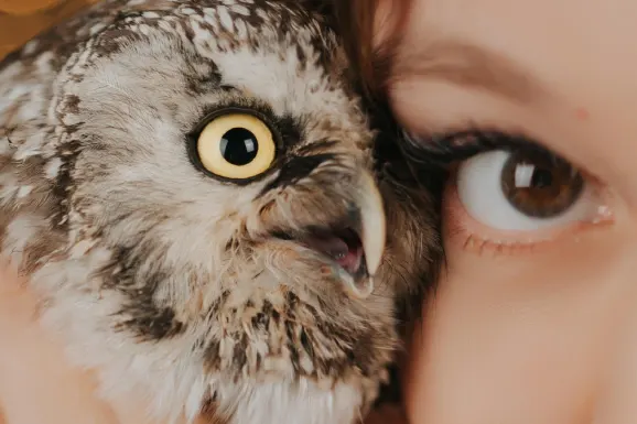 카지노 럭키 31 지원